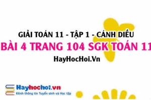 Giải bài 4 trang 104 Toán 11 tập 1 SGK Cánh Diều